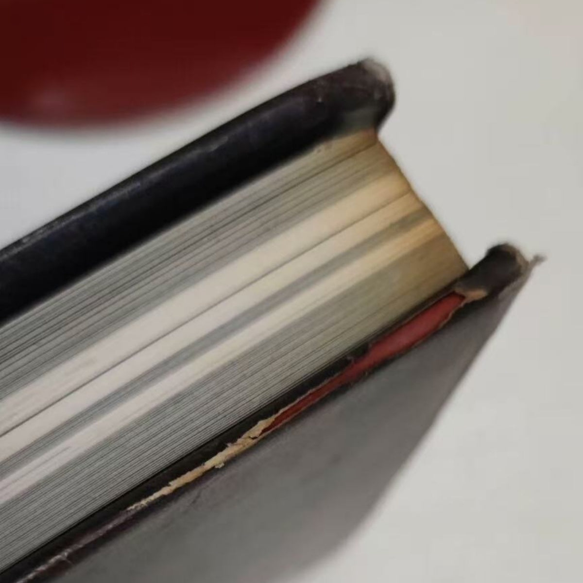 Santa Lilio Sangre 绯いユリ